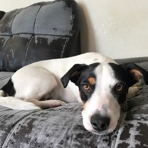 Meet your Posher, Susana